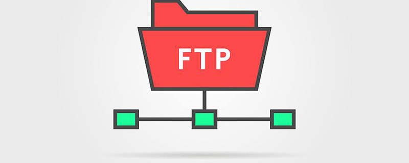 ftp的中文意思是什么