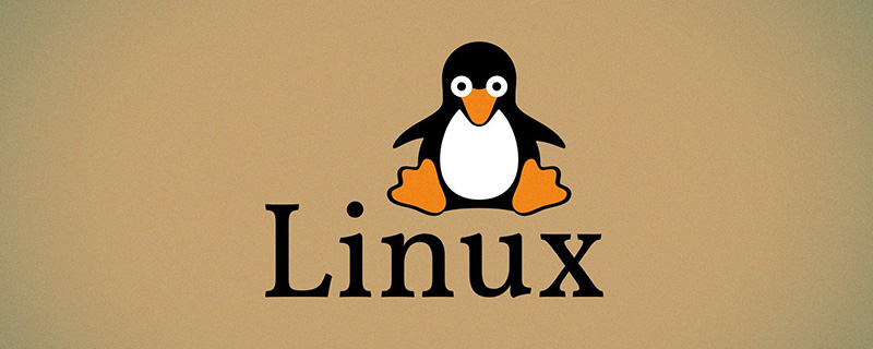 Linux如何使用file命令显示文件类型？（代码示例）