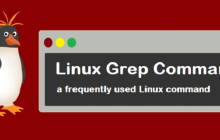 linux中如何使用grep命令？（详解）