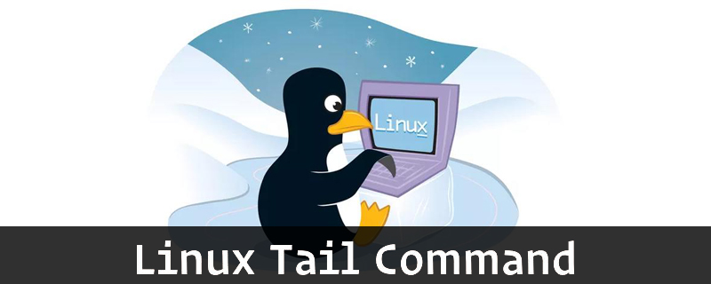 Linux如何使用tail命令？
