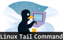 Linux如何使用tail命令？