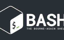 如何检查Bash中是否存在文件或目录