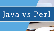 Java与Perl之间的区别是什么？Java与Perl的简单比较