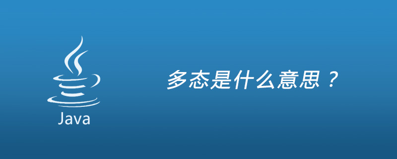 Javaにおけるポリモーフィズムとはどういう意味ですか?