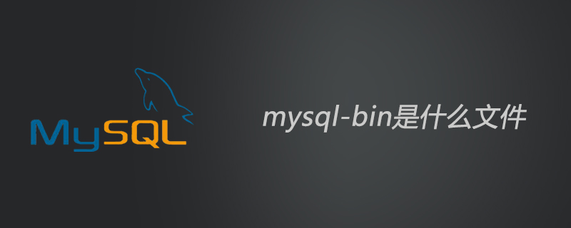 Quel fichier est mysql-bin ?