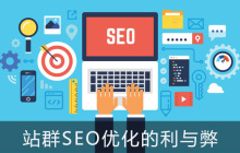 站群SEO优化的利与弊分别是什么？