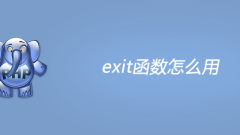 How to use php exit function