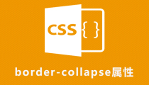 css border-collapse属性怎么用