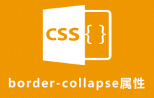 css border-collapse属性怎么用