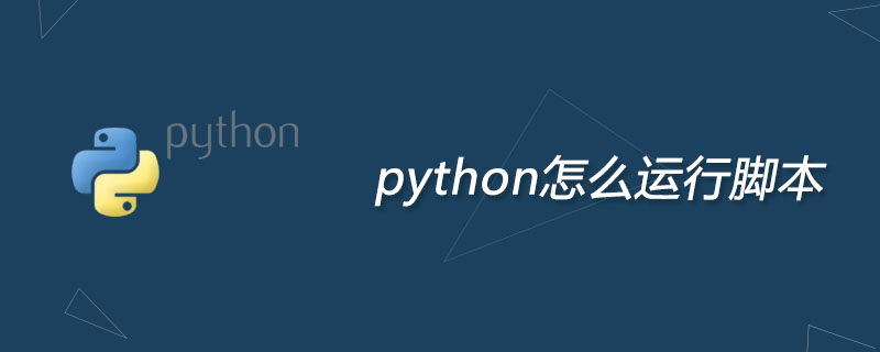 How to run script in python?
