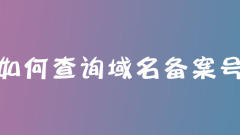ドメイン名登録番号の確認方法