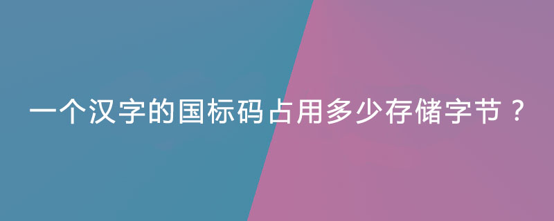 一个汉字的国标码占用多少存储字节？