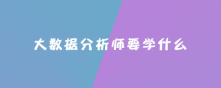 大数据分析师要学什么