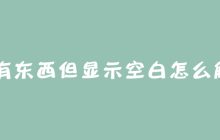 U盘有东西但显示空白怎么解决？