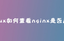 linux如何查看nginx是否启动
