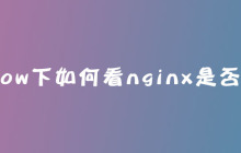 window下如何看nginx是否启动？
