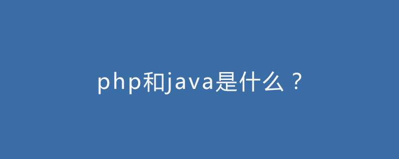php和java是什么？