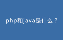 php和java是什么？