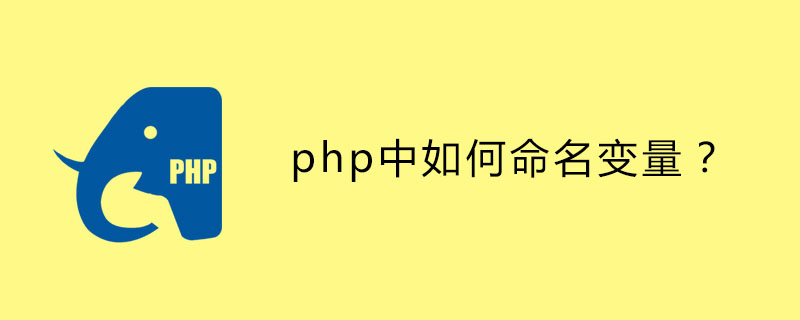 How to name variables in php?