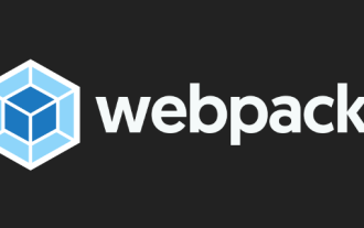 Eine eingehende Analyse des Verpackungsprozesses und der Prinzipien von Webpack