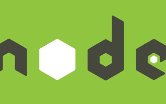 Comment faire la mise en miroir Docker du service Node ? Explication détaillée de l'optimisation extrême