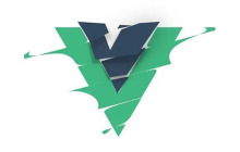 vue有几大组件
