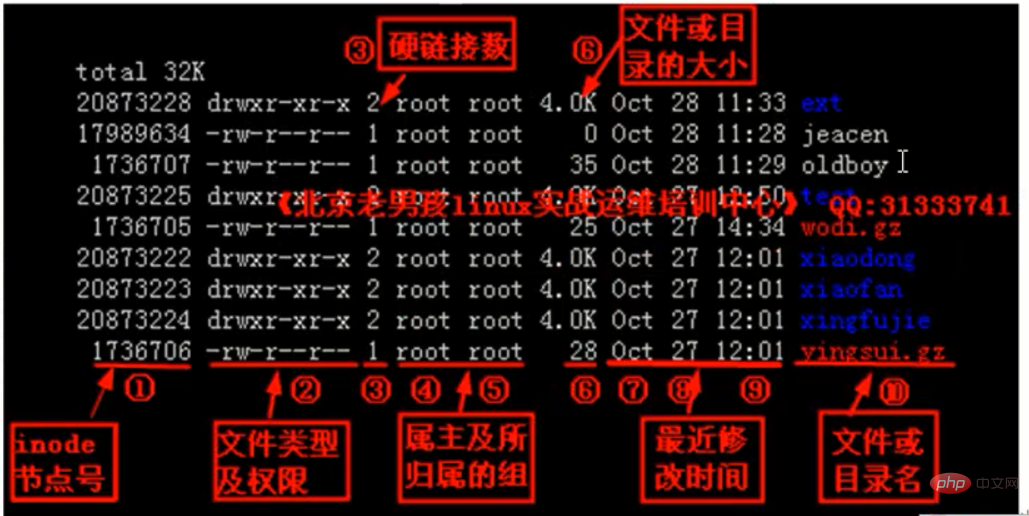 linux有哪些文件類型
