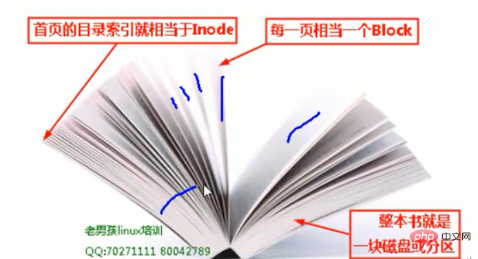 linux有哪些文件類型