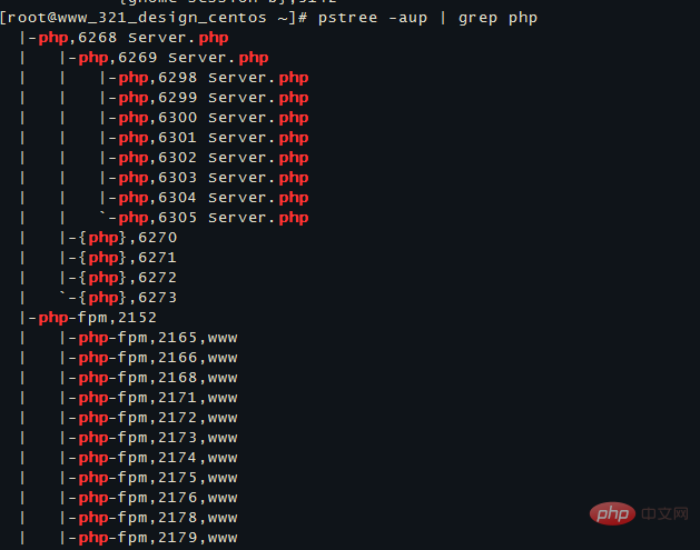 linux怎么查看進程？