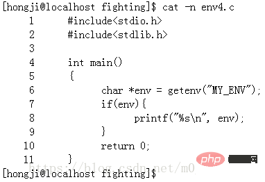 What are environment variables in linux