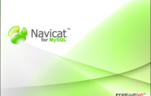 正版数据库管理工具 Navicat for MySQL 中文版软件安装、破解步骤