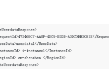 怎么以 Base64 编码的方式查询一台 ECS 实例的 自定义数据