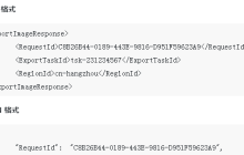 怎么导出自定义镜像到与该自定义镜像同一地域的 OSS Bucket 里