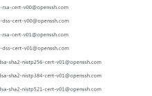 导入由其他工具产生的 RSA 密钥对的公钥部分