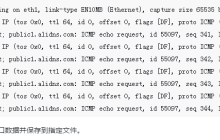 源服务器访问目标服务器时出现异常如何抓包获取最原始的交互数据