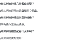 什么是企业级实例？什么是入门级实例？