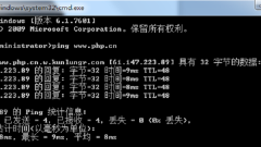 핑은 무슨 뜻인가요?