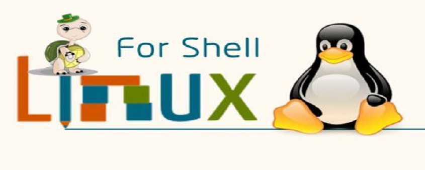 shell是什么意思