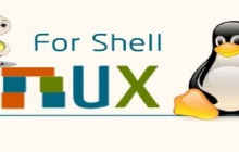 shell是什么意思