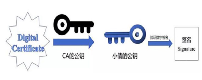 什么是公钥