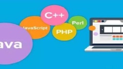 What are the programming languages?