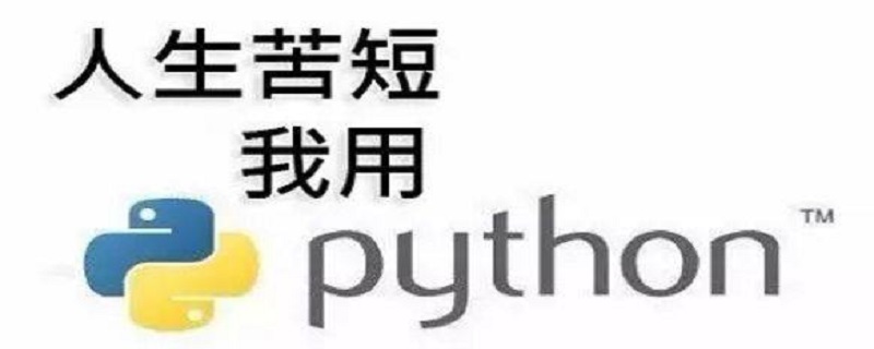 为什么黑客都用python