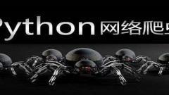 Que fait le robot d'exploration Python ?