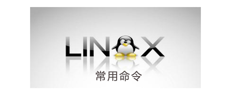 linux最常用的20个命令有哪些-小浪学习网