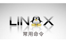 linux最常用的20个命令有哪些