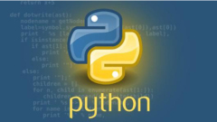 What can the python language do?