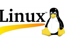 linux如何查看进程命令