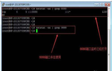 linux如何查看端口占用