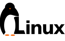 linux系统如何查看硬盘大小