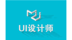 UI-Ingenieur, eine unangenehme Rolle?